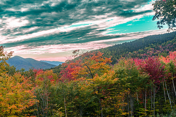 Black Mt through the foliage