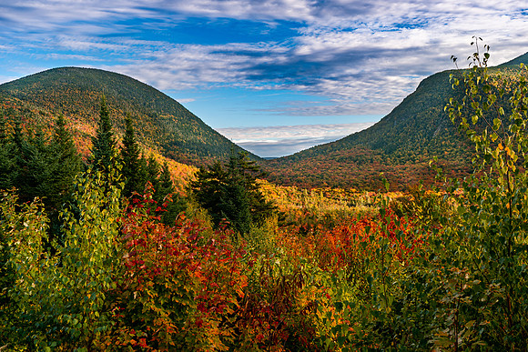 Fall foliage in Mad River Notch