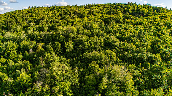 Madison Lots (19 of 34)