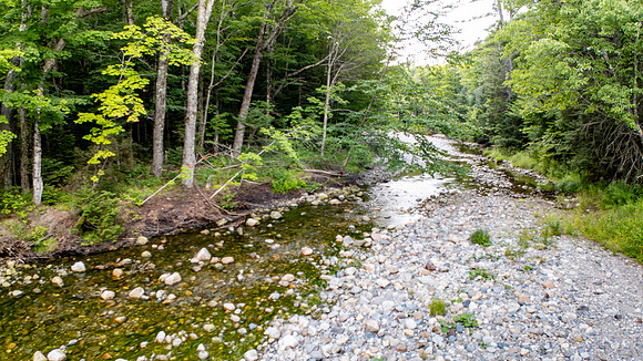 270 Lost River MLS (51 of 53)