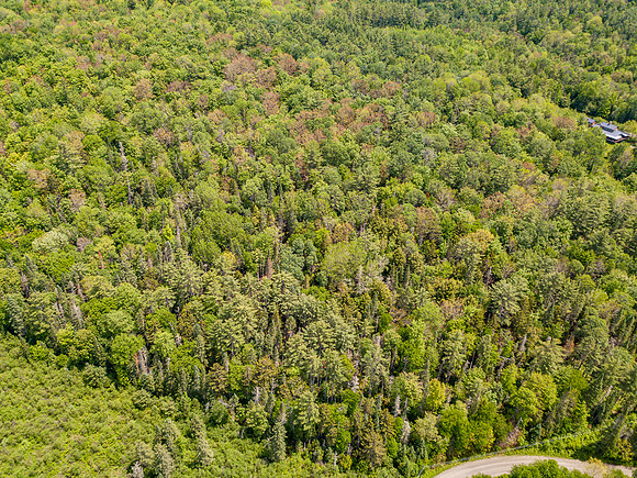 PETTYBORO RD LYMAN, NH (14 of 24)