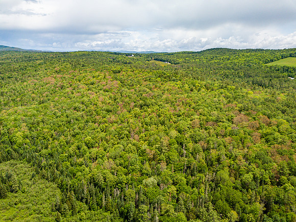 PETTYBORO RD LYMAN, NH (13 of 24)