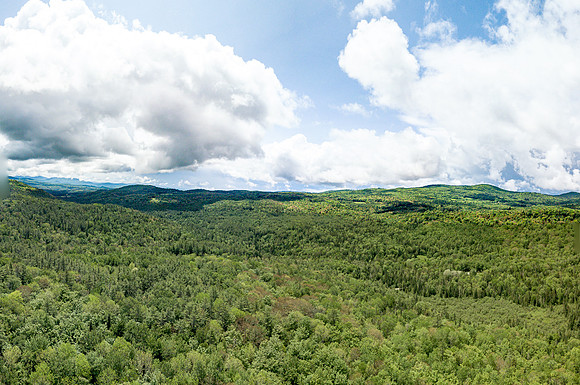 PETTYBORO RD LYMAN, NH (24 of 24)