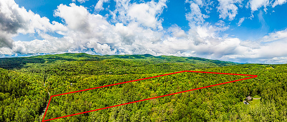 PETTYBORO RD LYMAN, NH property line (1 of 4)