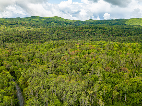 PETTYBORO RD LYMAN, NH (5 of 24)