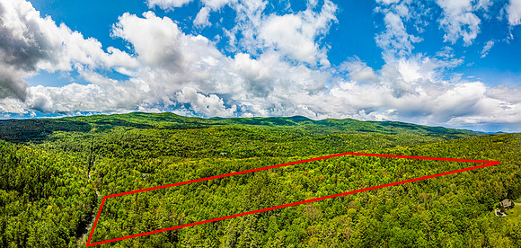 PETTYBORO RD LYMAN, NH property line (2 of 4)