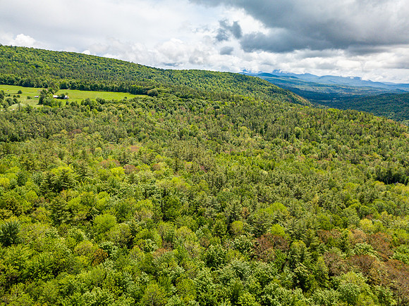 PETTYBORO RD LYMAN, NH (9 of 24)