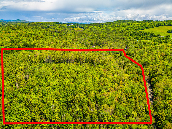 PETTYBORO RD LYMAN, NH property line (4 of 4)