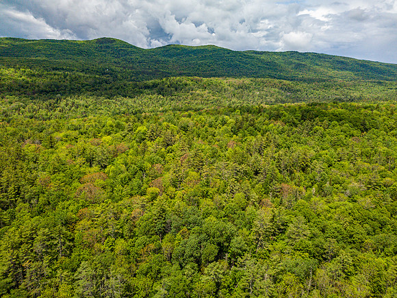 PETTYBORO RD LYMAN, NH (18 of 24)
