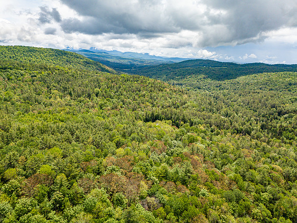 PETTYBORO RD LYMAN, NH (10 of 24)