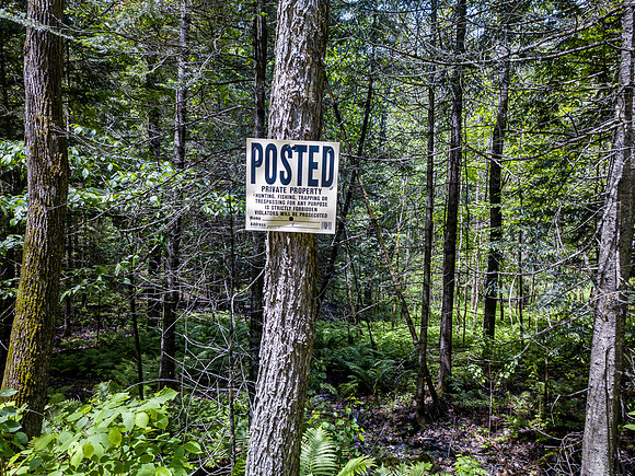 PETTYBORO RD LYMAN, NH (22 of 24)