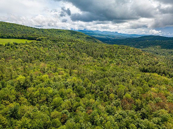 PETTYBORO RD LYMAN, NH (8 of 24)