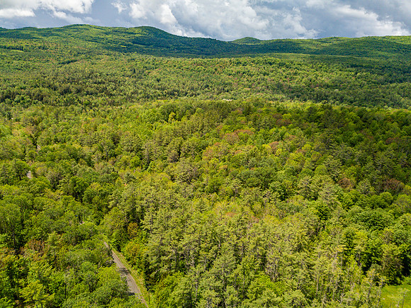 PETTYBORO RD LYMAN, NH (19 of 24)
