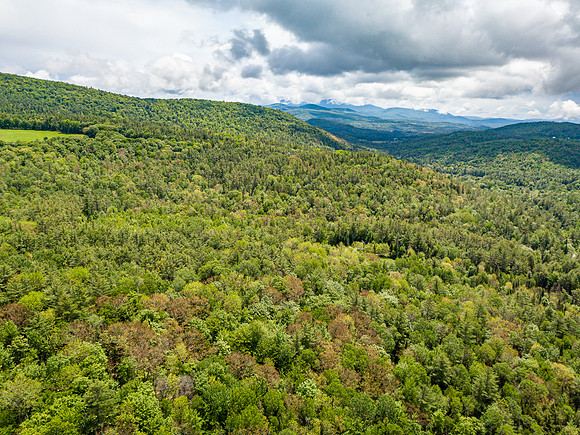 PETTYBORO RD LYMAN, NH (11 of 24)