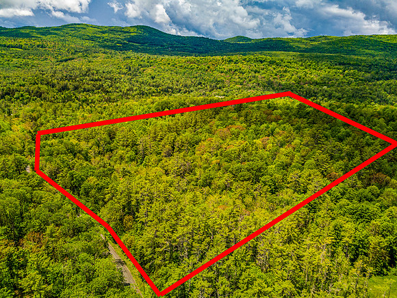 PETTYBORO RD LYMAN, NH property line (3 of 4)