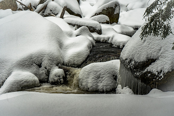 Frozen Harvard Brook