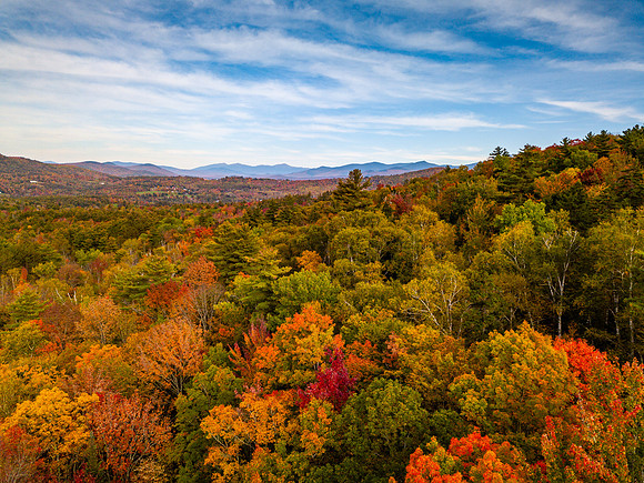 Fall 999 Pearl Lake Rd aerial  (1 of 21)