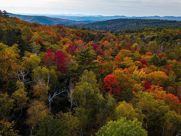 Fall 999 Pearl Lake Rd aerial  (8 of 21)