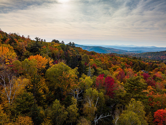 Fall 999 Pearl Lake Rd aerial  (9 of 21)