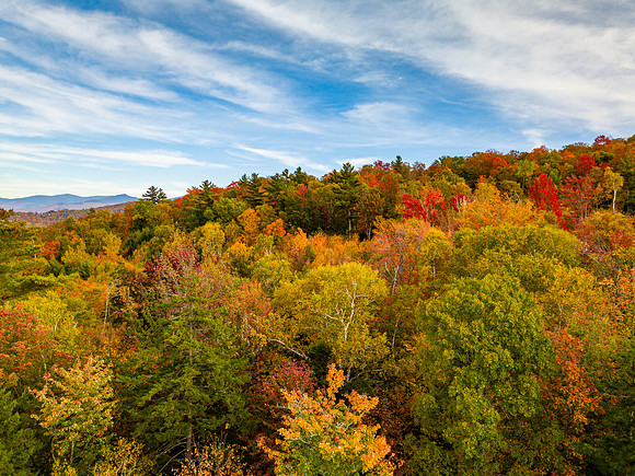 Fall 999 Pearl Lake Rd aerial  (13 of 21)