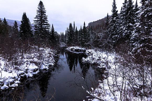 Cold Stream
