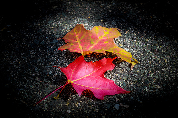Fallen