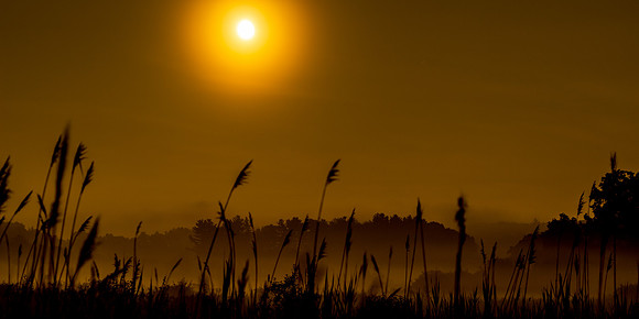 Marsh Moon