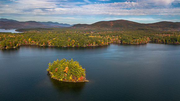 Mouse Island