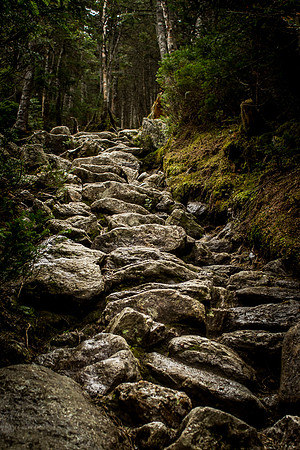 The Climb