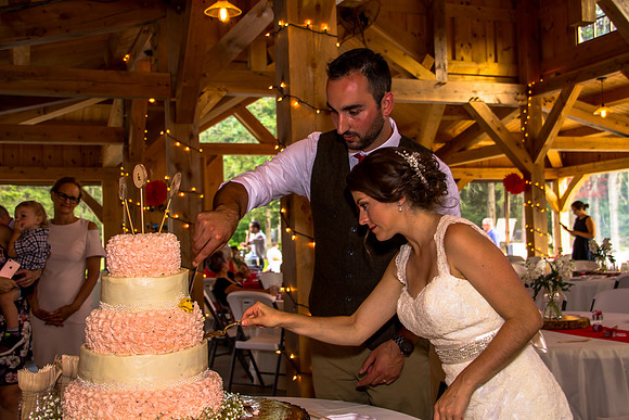 Hanson-Bartlett wedding (213 of 227)