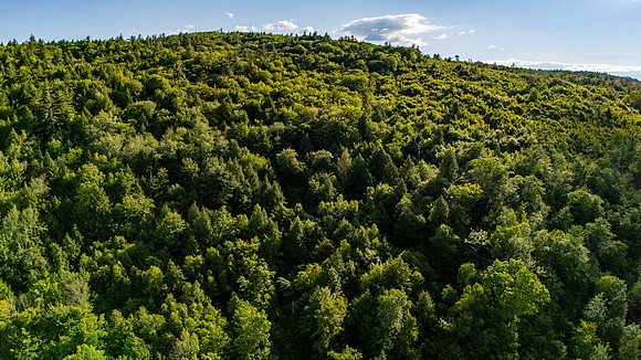 Madison Lots (20 of 34)