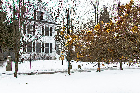 205 Victory Rd-MLS (62 of 63)