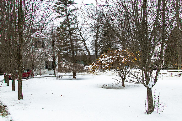205 Victory Rd-MLS (63 of 63)