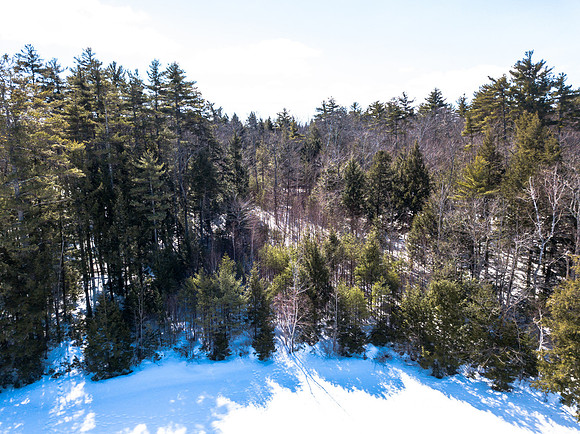 Buzzell Cove Rd (1 of 18)