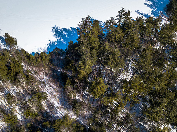 Buzzell Cove Rd (2 of 18)