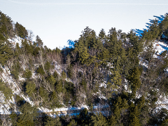 Buzzell Cove Rd (3 of 18)