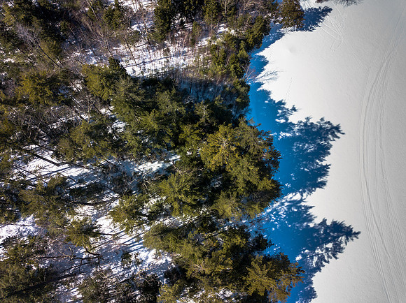 Buzzell Cove Rd (7 of 18)
