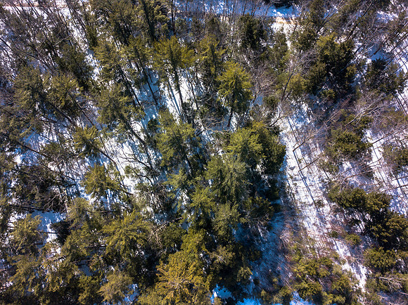 Buzzell Cove Rd (8 of 18)