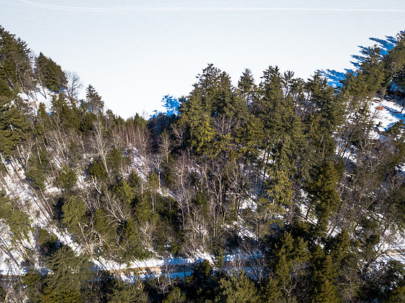 Buzzell Cove Rd-MLS (3 of 18)