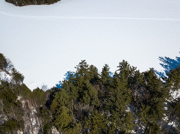 Buzzell Cove Rd-MLS (4 of 18)