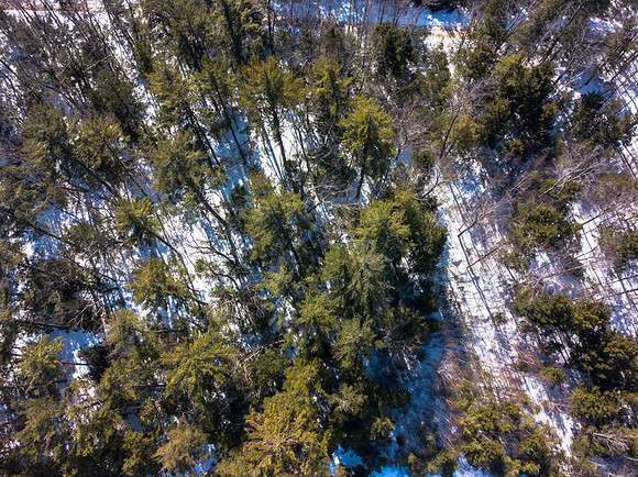 Buzzell Cove Rd-MLS (8 of 18)