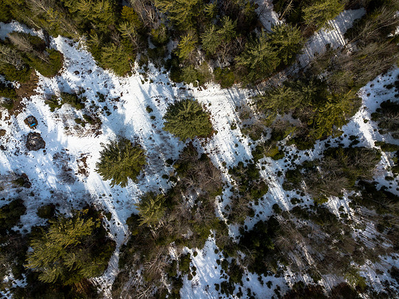 Brantley Property (5 of 7)