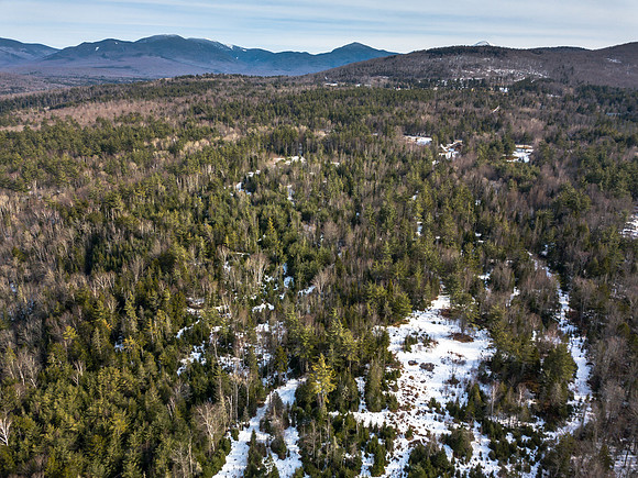 Brantley Property (6 of 7)