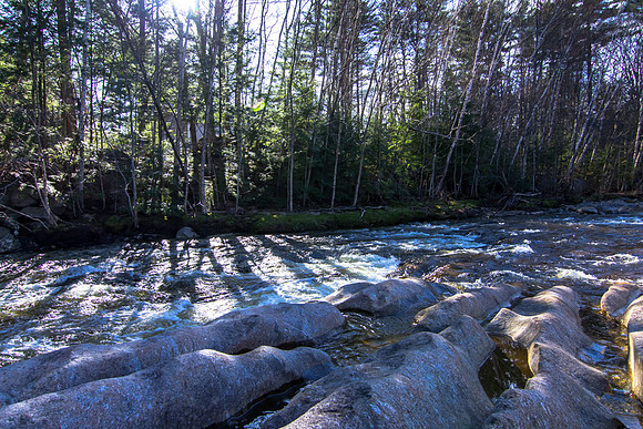 20 Grandview Rd-MLS (49 of 54)