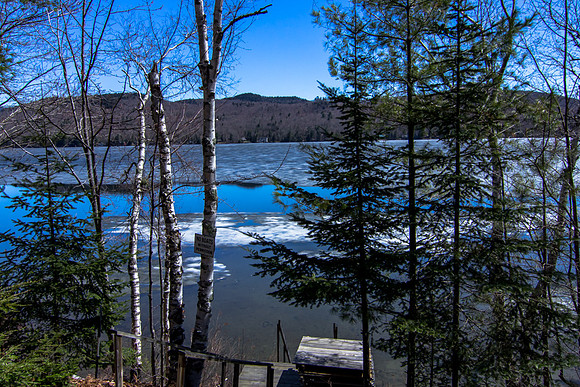 5 Stewart Dr-MLS (48 of 50)