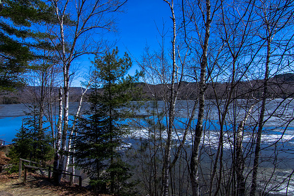 5 Stewart Dr-MLS (49 of 50)