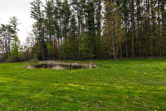 104 Lost River Rd-MLS (69 of 72)