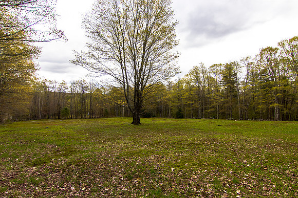 771 Mt Israel Rd (73 of 79)