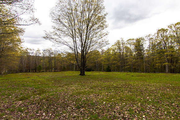 771 Mt Israel Rd-MLS (73 of 79)