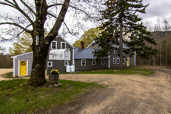 771 Mt Israel Rd-MLS (74 of 79)
